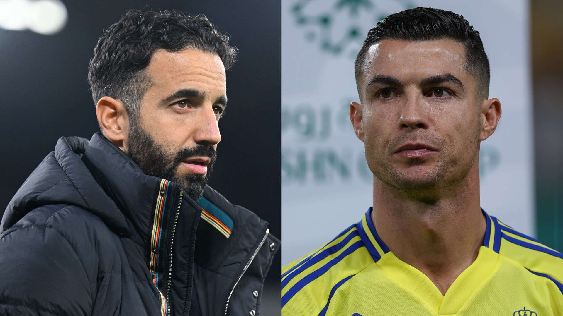 而从更广泛 而从更广泛