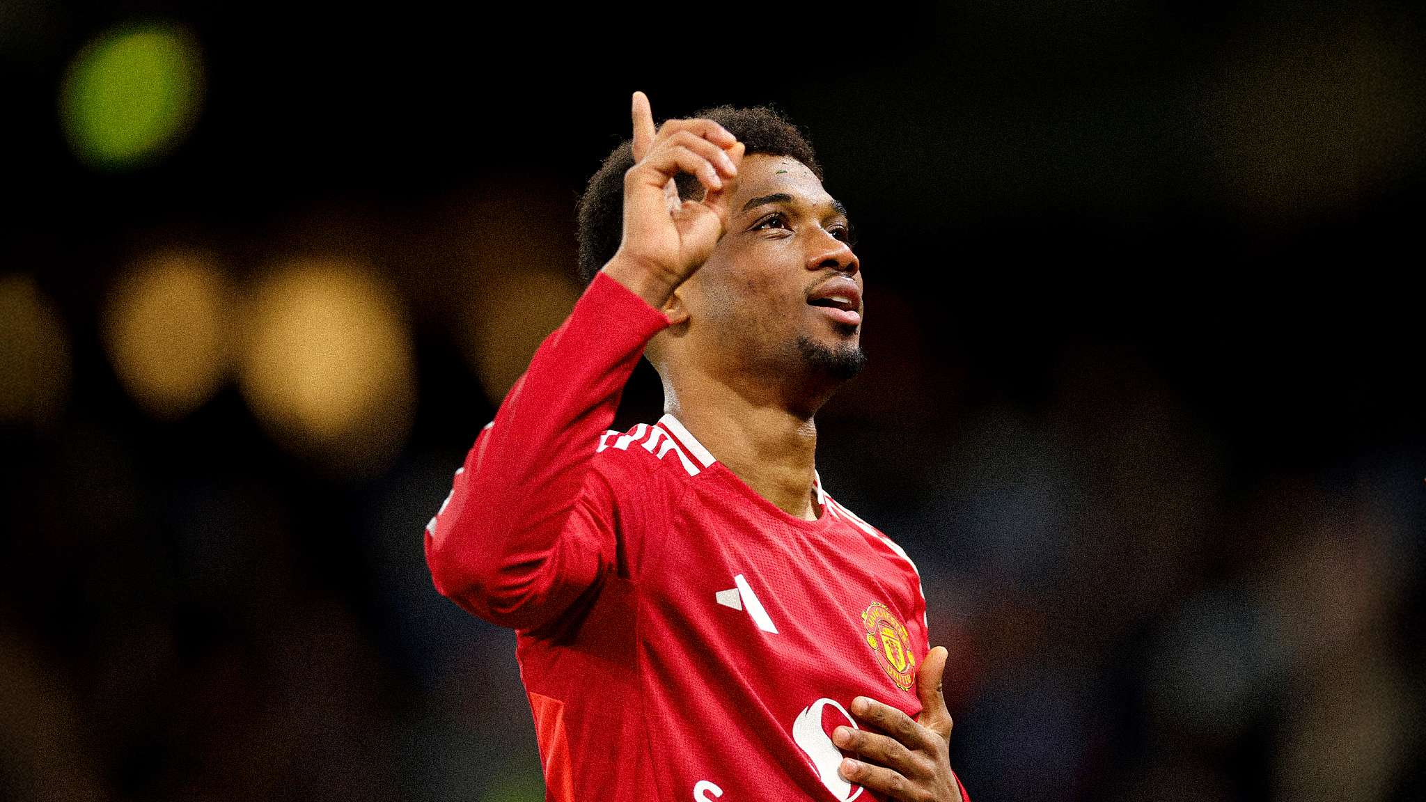 添了宝贵的 添了宝贵的