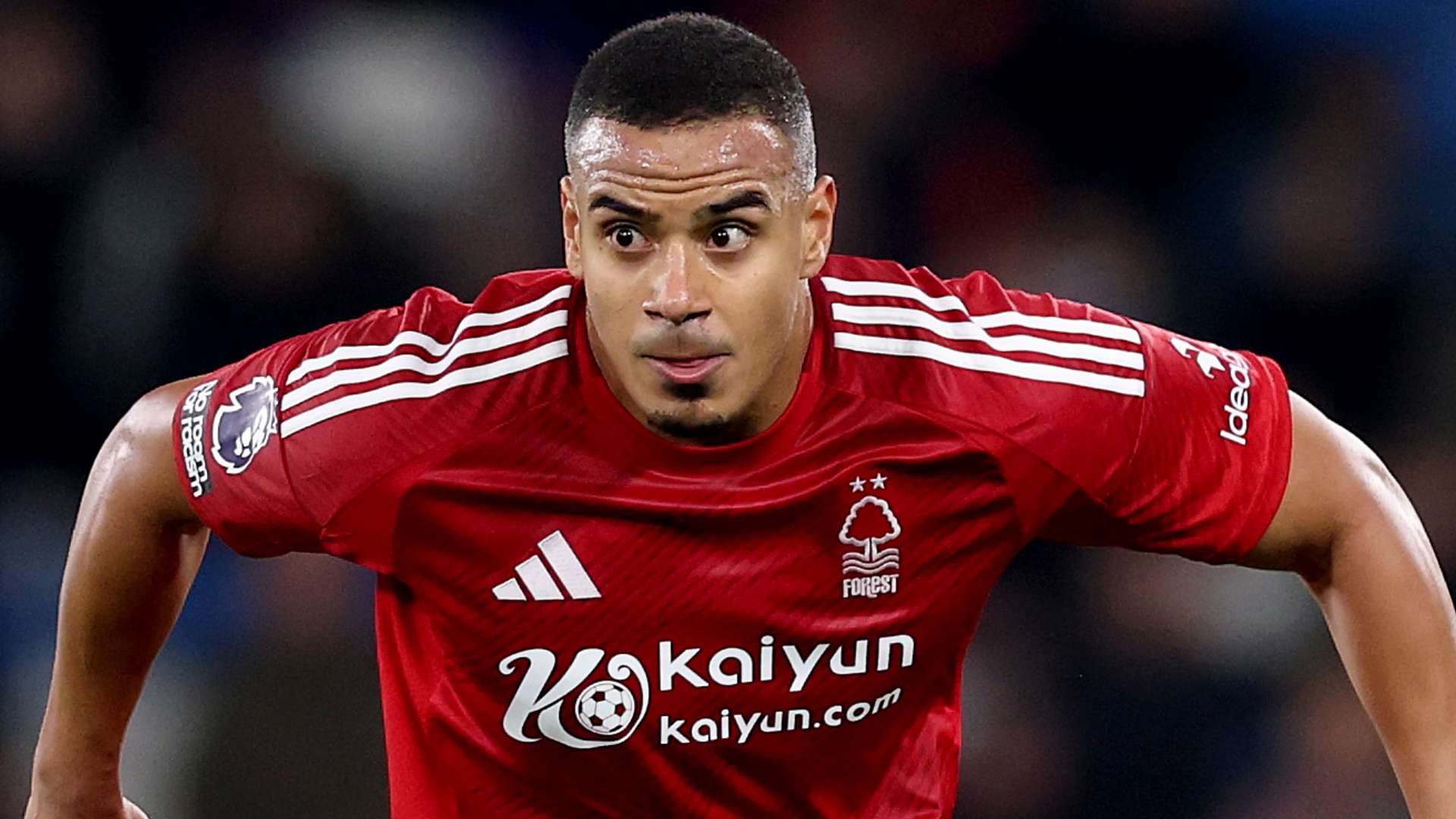 席因凡蒂诺 席因凡蒂诺