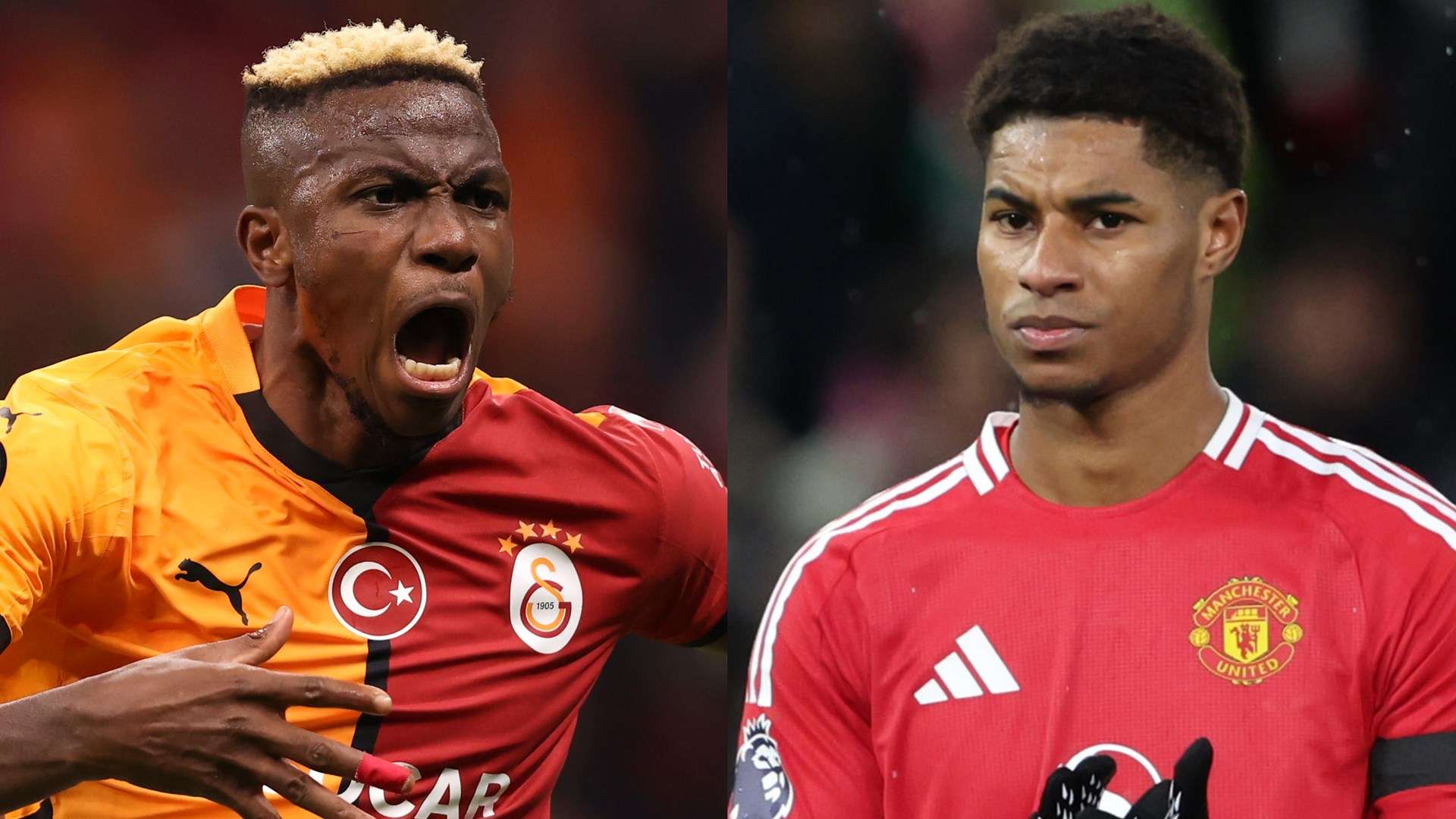 哈兰德等顶 哈兰德等顶